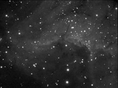Mlhovina IC 5070 19.08.2012